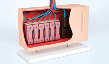 如何充值不被坑的免费手机号轰炸